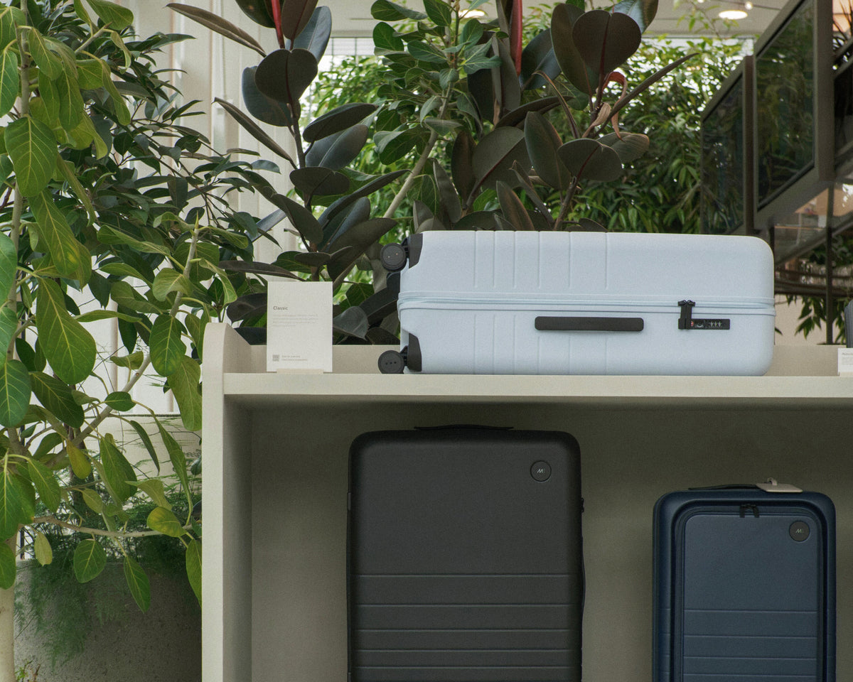 A Carry-on in Blue Haze sits on a shelf above a Midnight Black suitcase, with an Ocean Blue suitcase partially visible at the bottom right. The scene is styled with large green potted plants in an indoor setting.